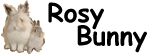 RosyBunny Forums
