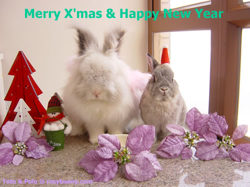 X'mas 2004