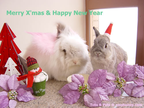 X'mas 2004