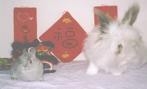 2002 CNY