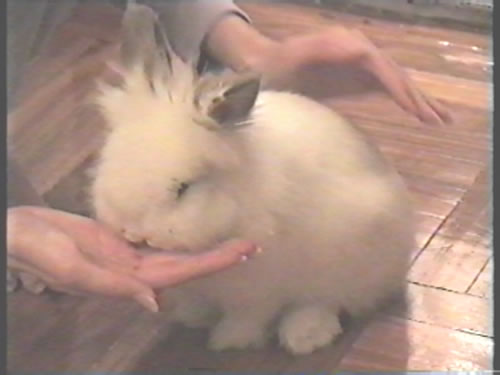 I like eating hay