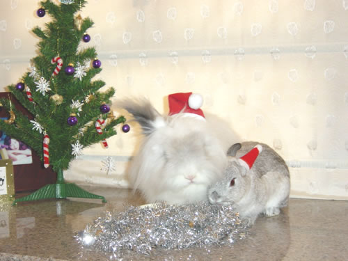X'mas 2002