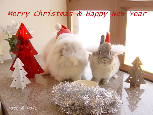 X'mas 2003