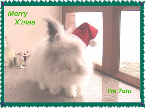 X'mas 2001